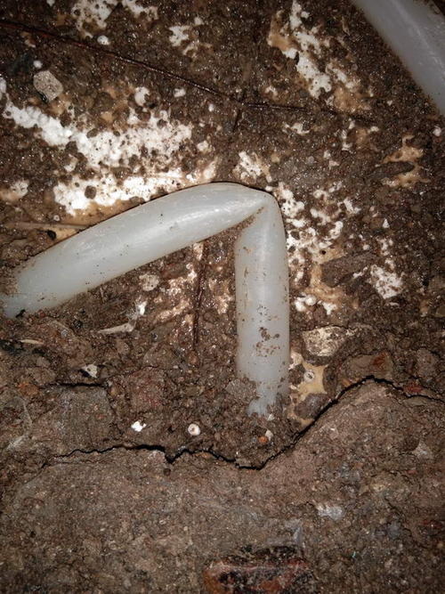 嘉禾堵点精准查找